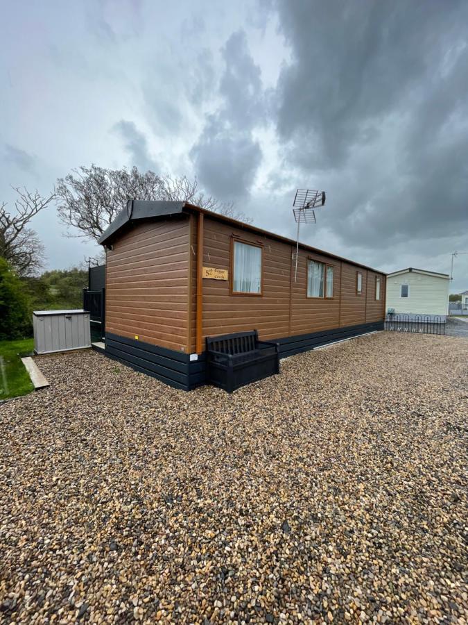 Boggy Creek - Lodge With Hot Tub Felton  Exteriör bild